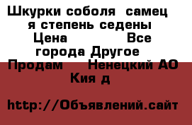 Шкурки соболя (самец) 1-я степень седены › Цена ­ 12 000 - Все города Другое » Продам   . Ненецкий АО,Кия д.